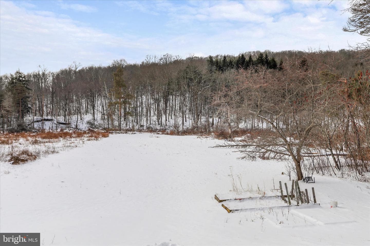 107 Shade Hollow Road photo 40