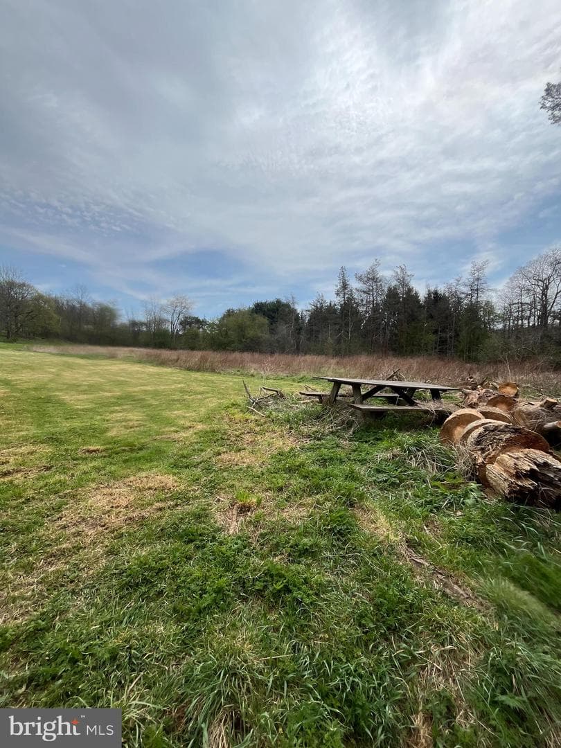107 Shade Hollow Road photo 49