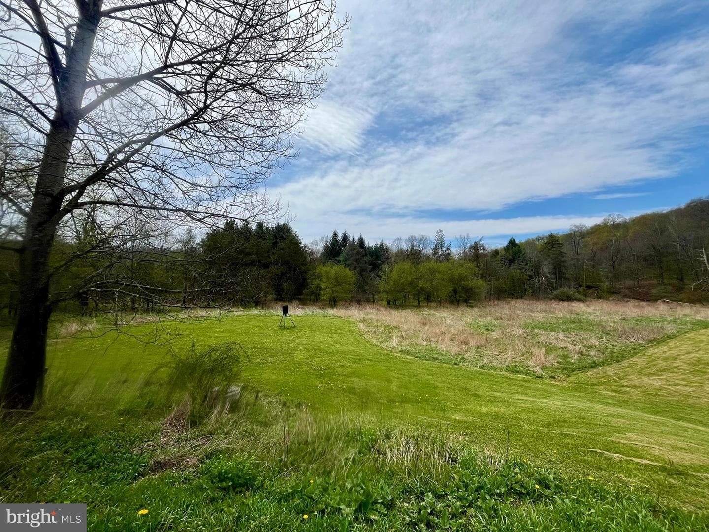 107 Shade Hollow Road photo 53