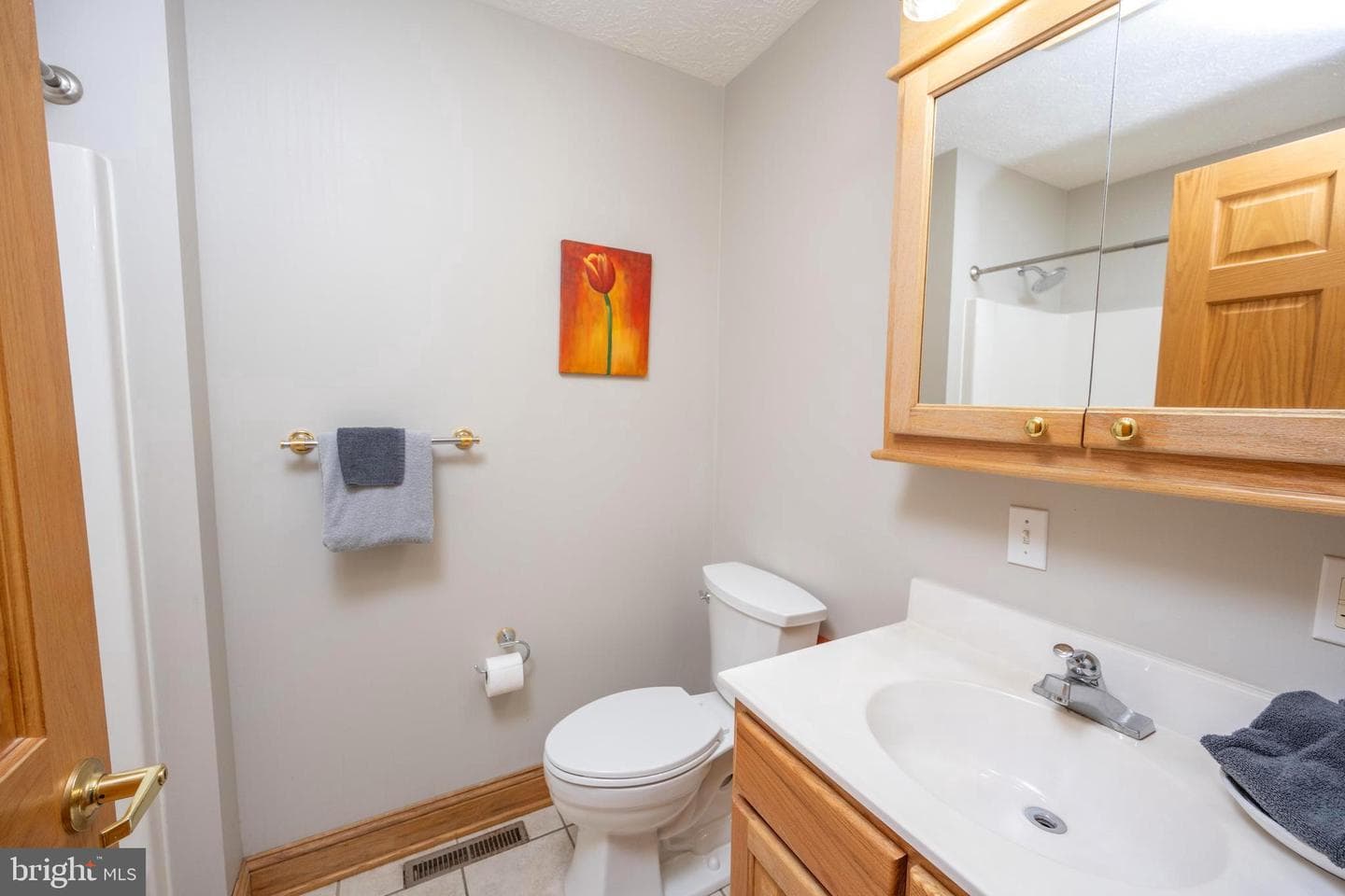 723 Pinnacle Drive photo 23
