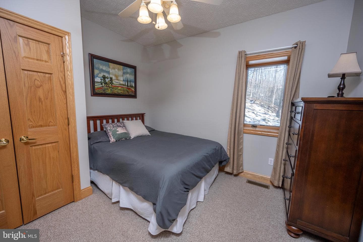 723 Pinnacle Drive photo 52