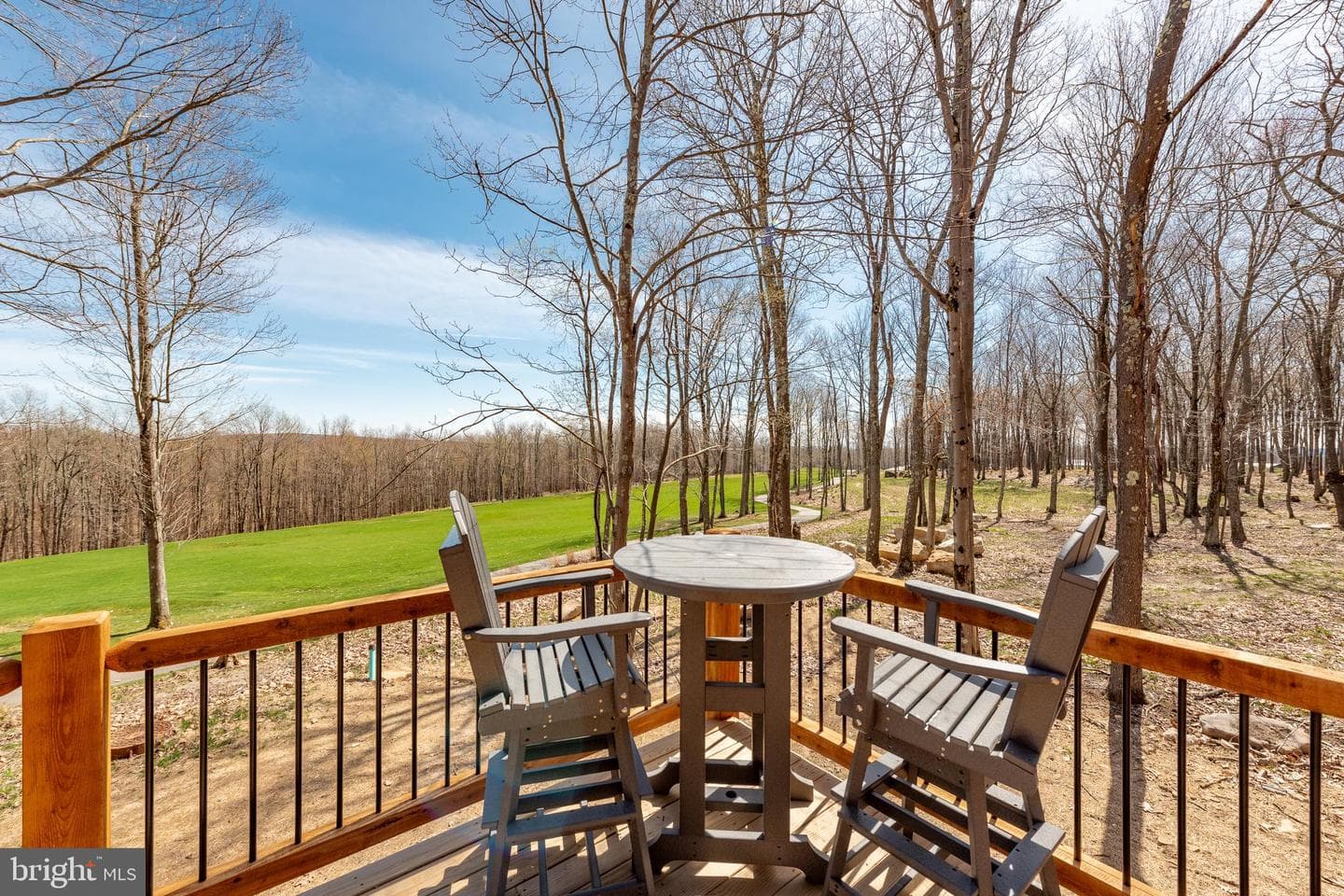 29 Green Jacket Ct photo 29
