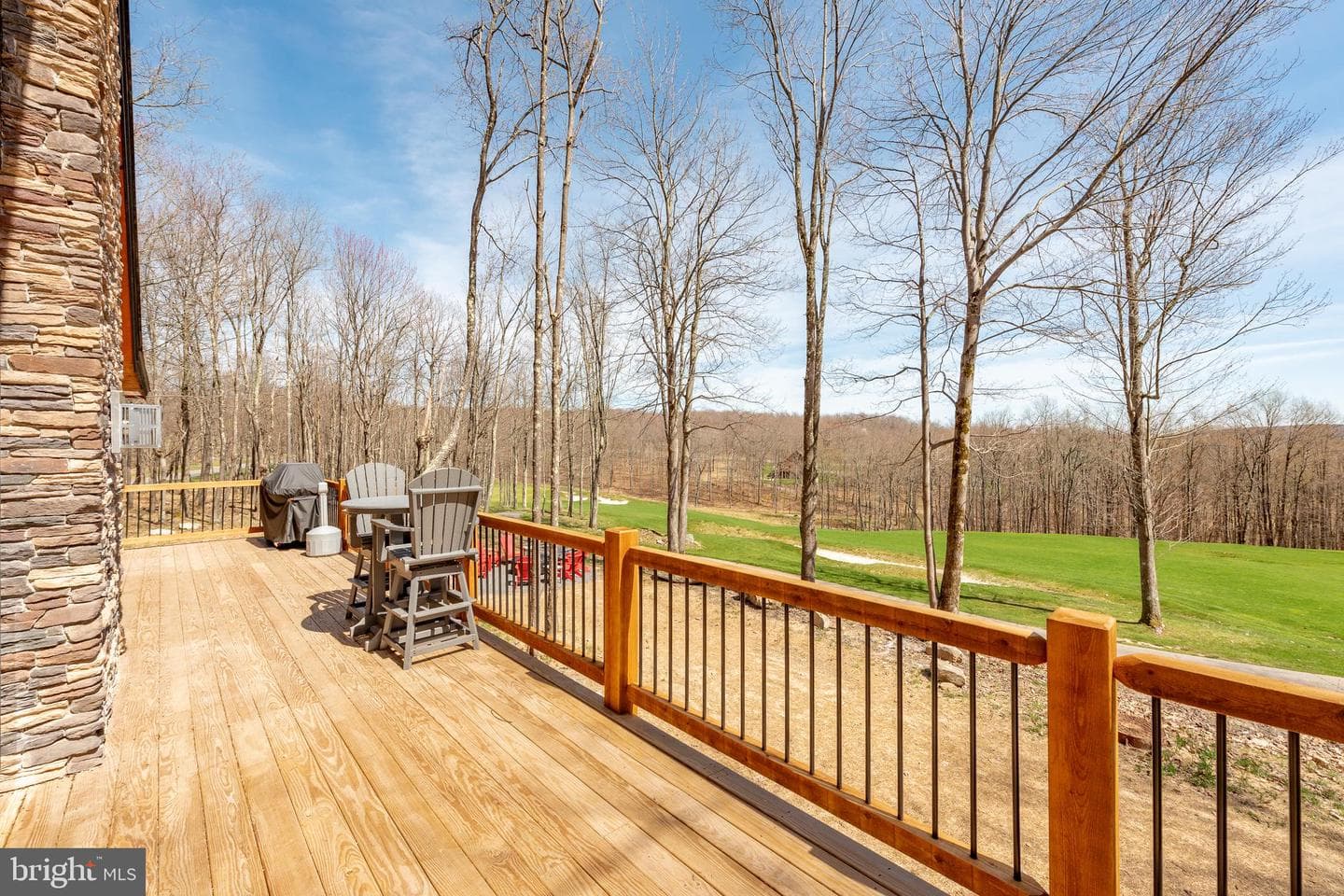 29 Green Jacket Ct photo 30