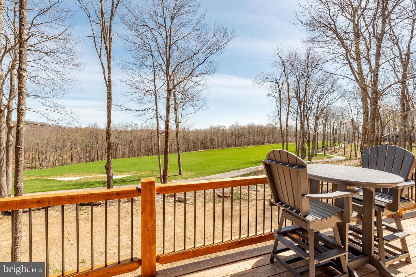 29 Green Jacket Ct photo 31