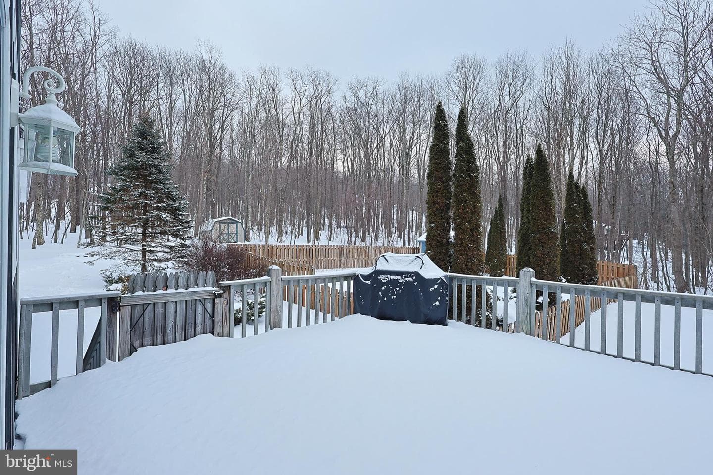 33 Teaberry Ridge Road photo 67