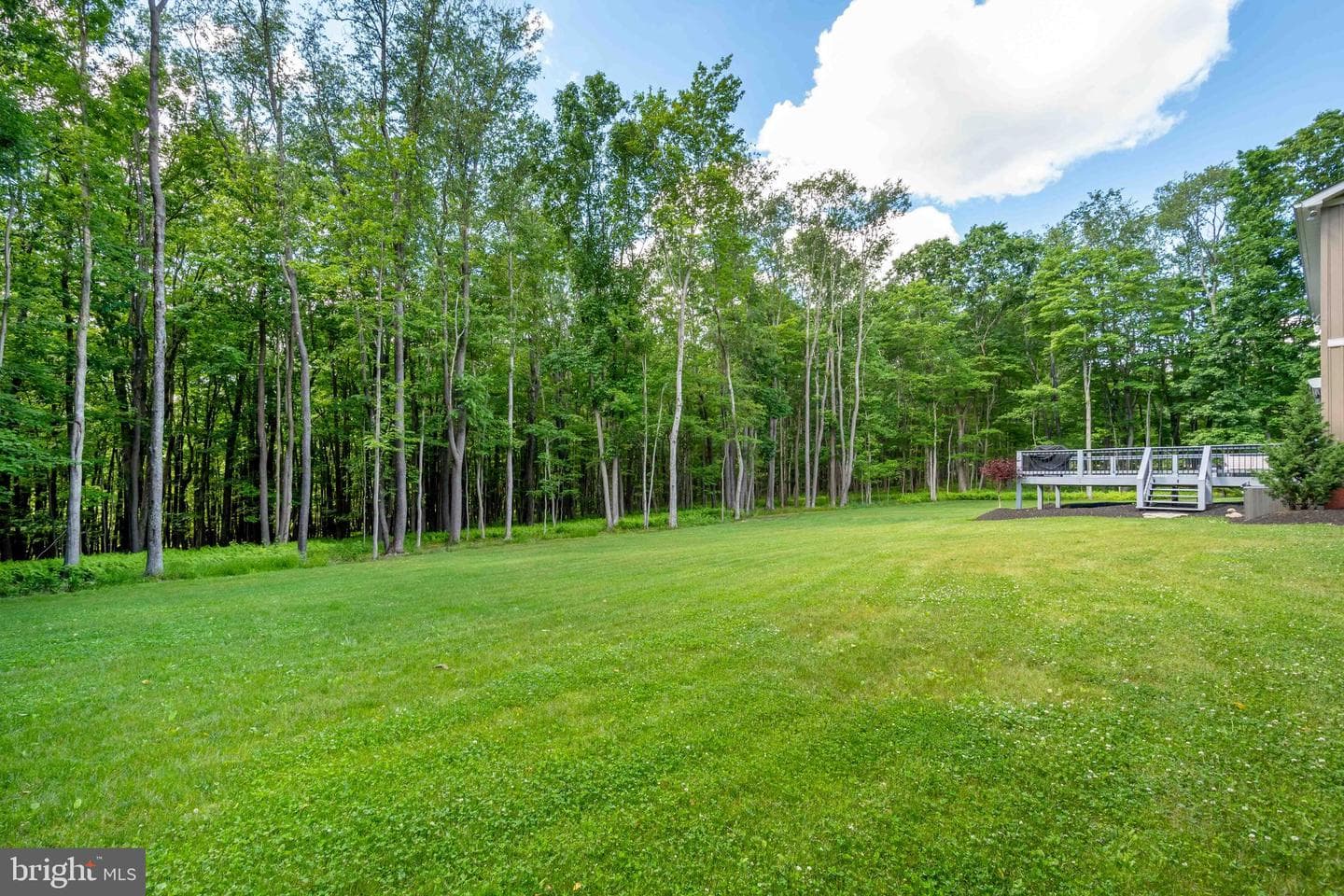 170 Cherrywood Drive photo 67