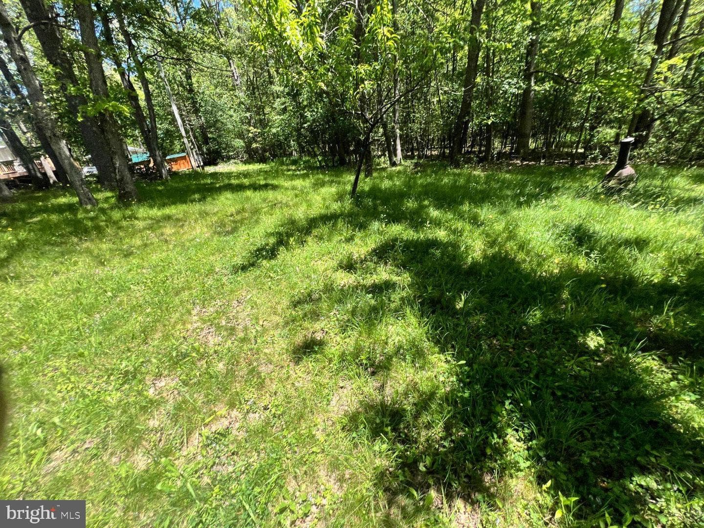 198 Pysell Road photo 49