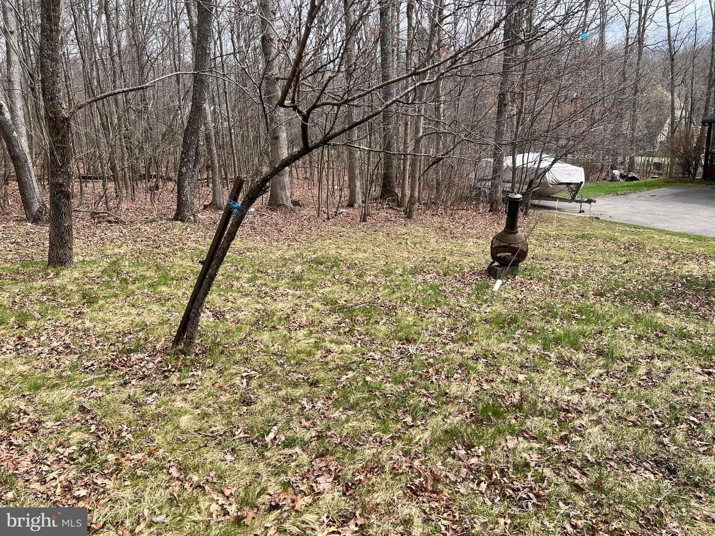 198 Pysell Road photo 50
