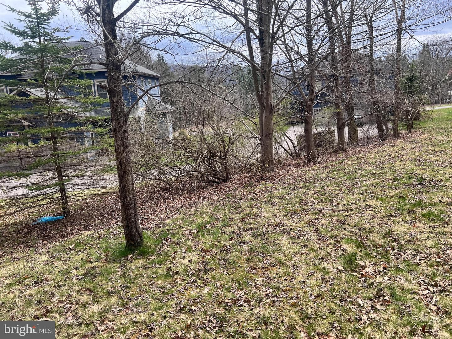 198 Pysell Road photo 51