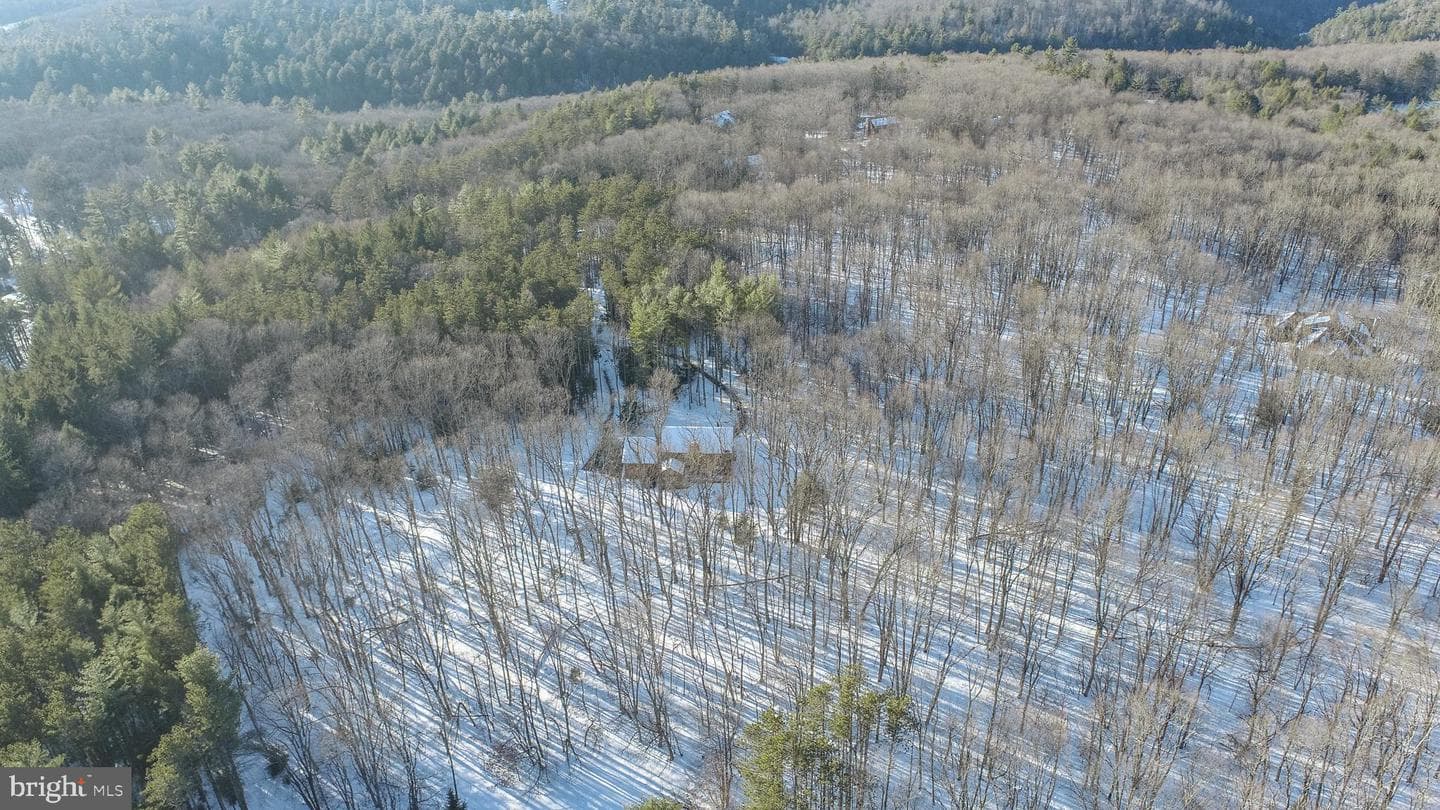 62 Whispering Pines Lane photo 67