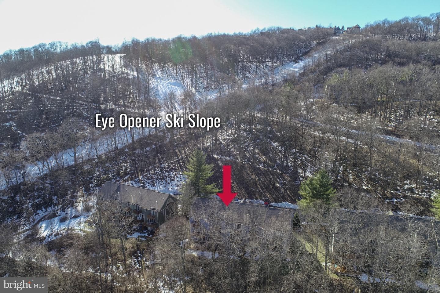 17 Slopeside Terrace #10d photo 40