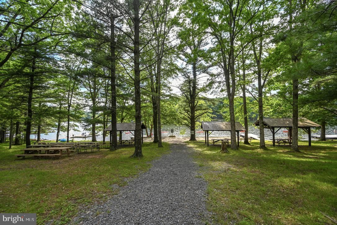 102 Piney Point Drive photo 40