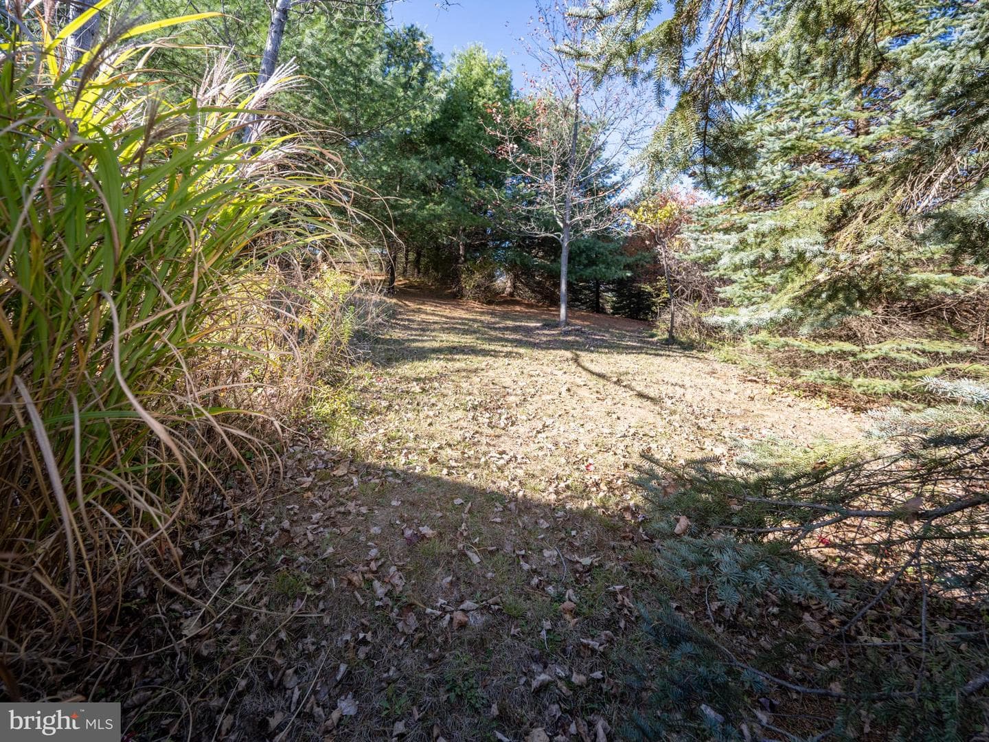 3836 Chestnut Grove Rd photo 11