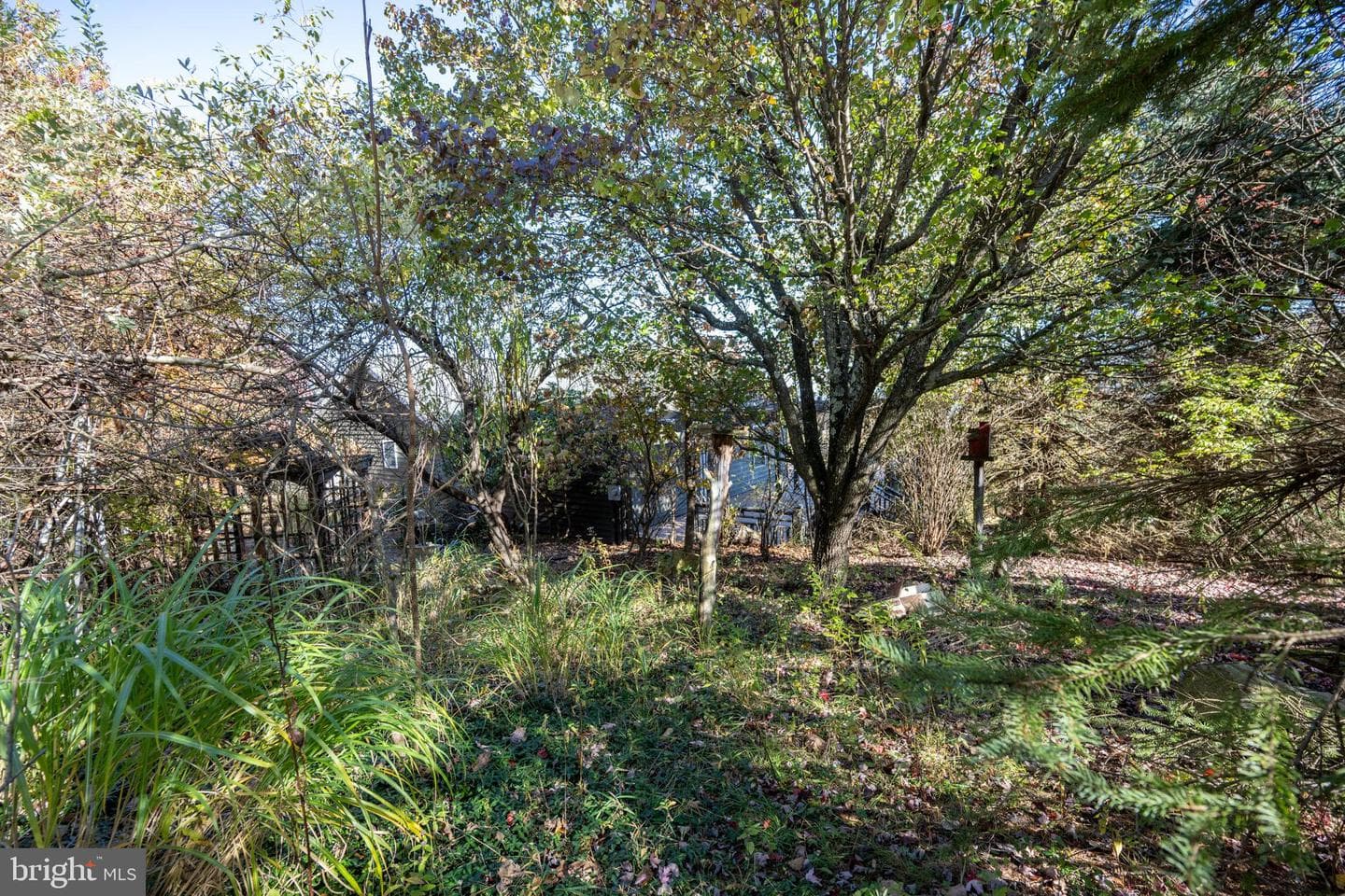 3836 Chestnut Grove Rd photo 12