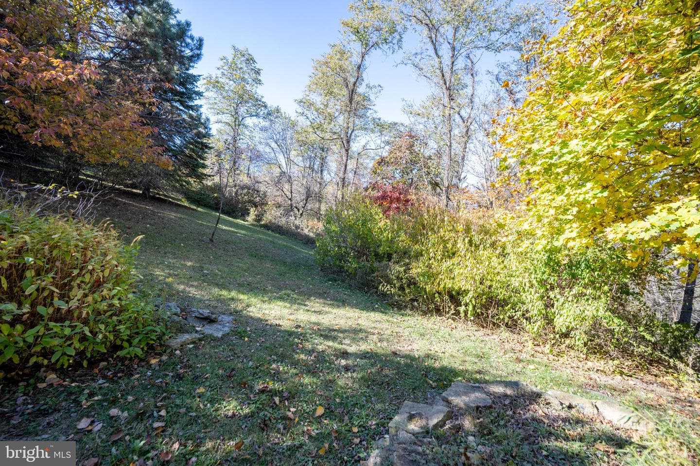 3836 Chestnut Grove Rd photo 22