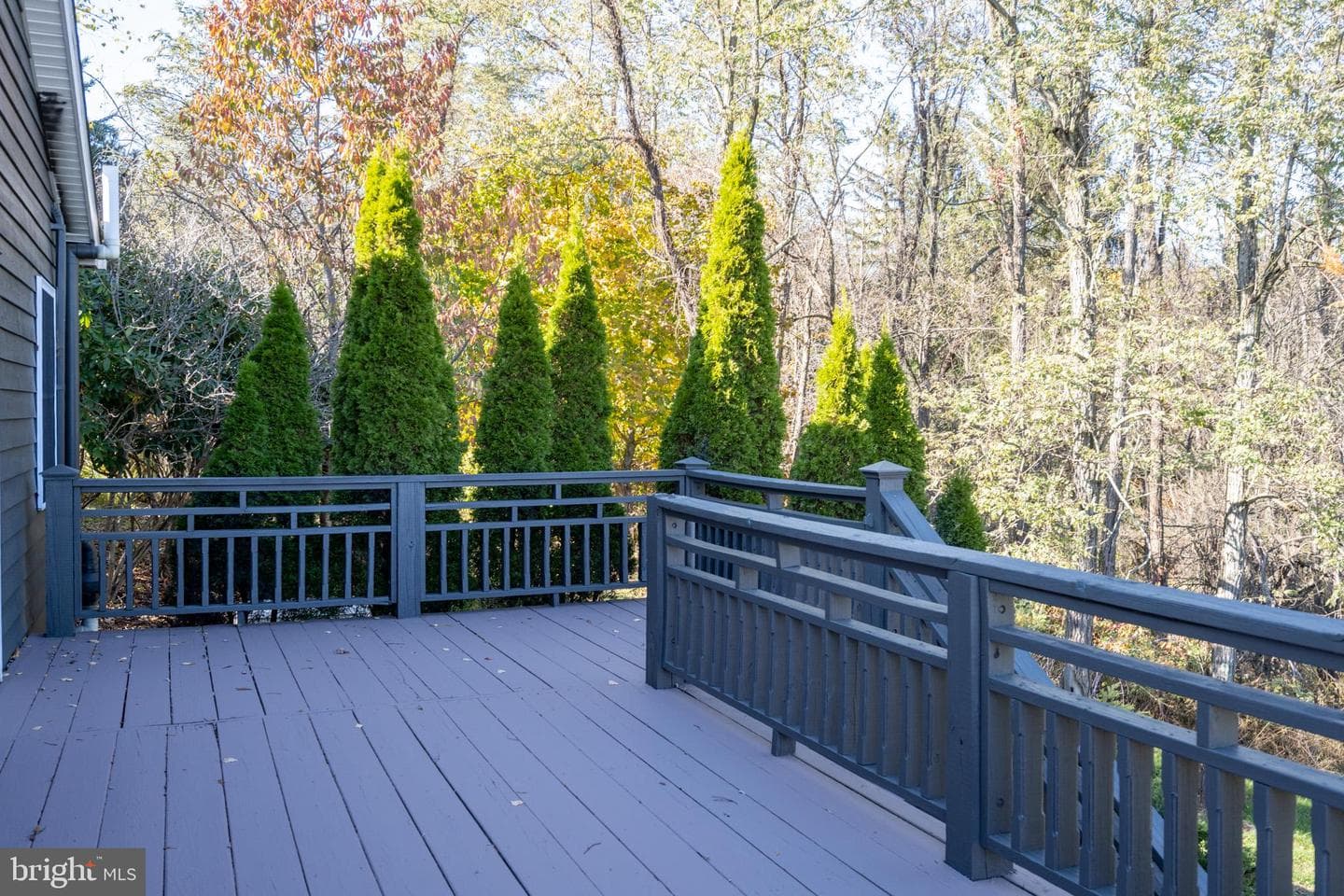 3836 Chestnut Grove Rd photo 29