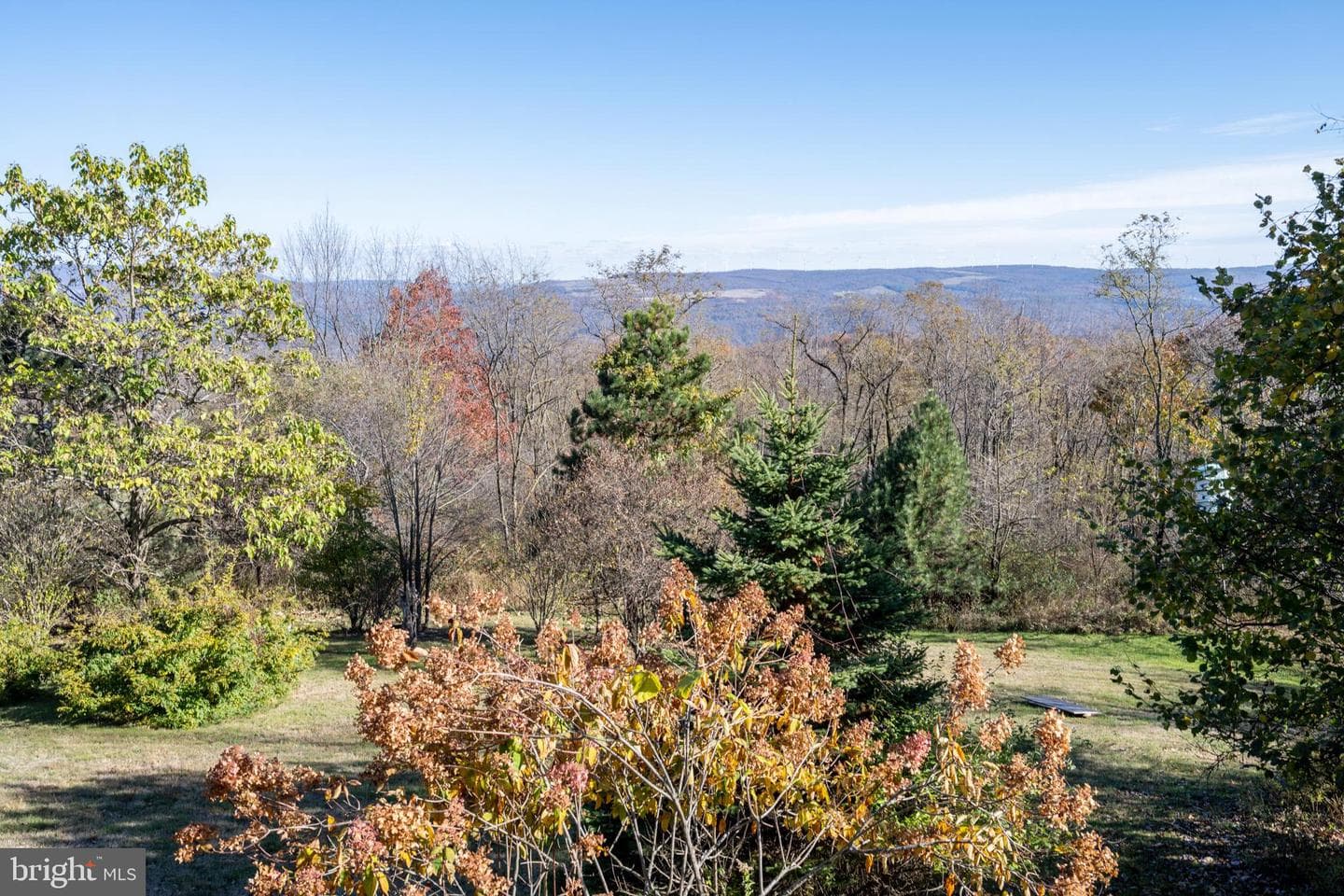 3836 Chestnut Grove Rd photo 32