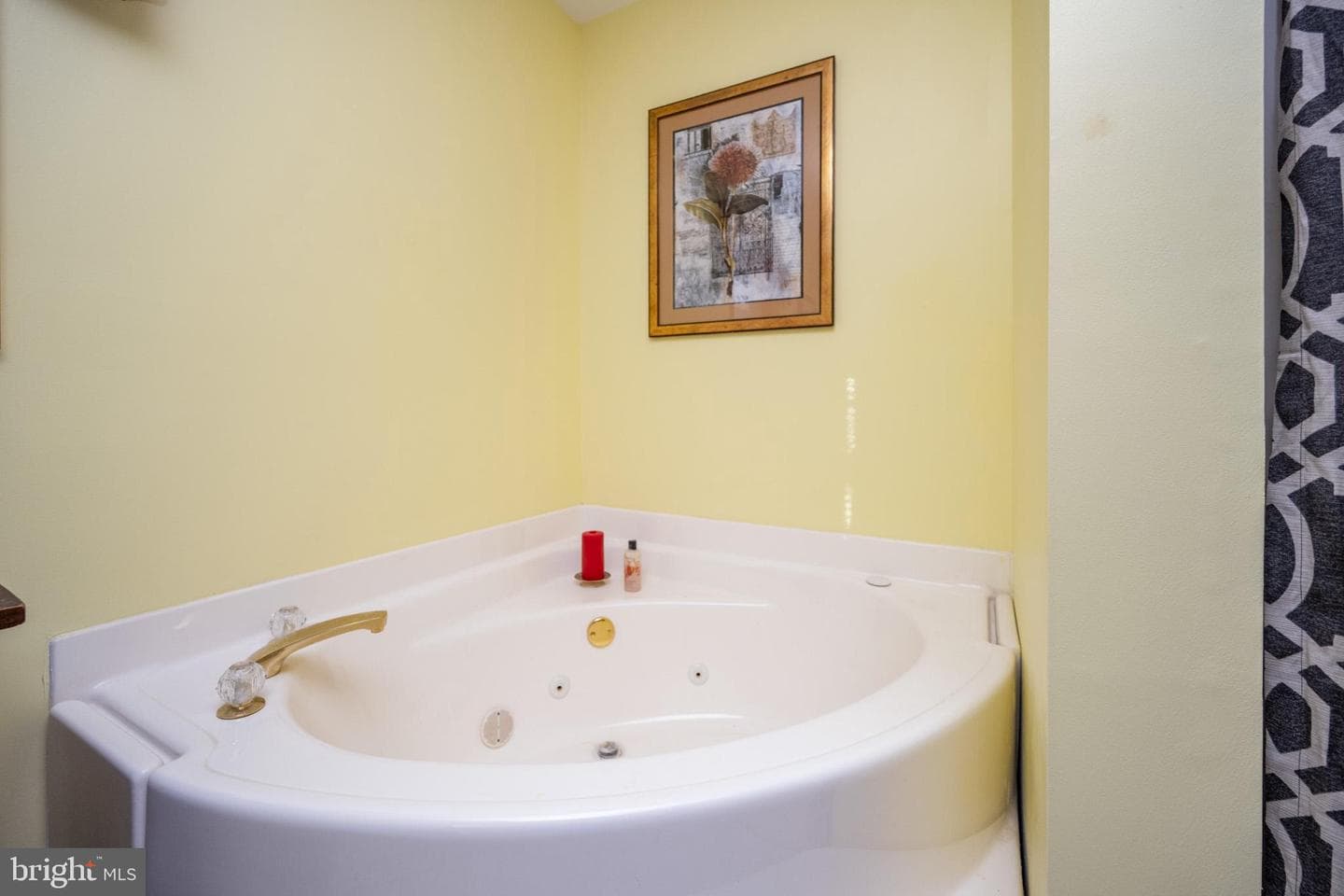 3836 Chestnut Grove Rd photo 79