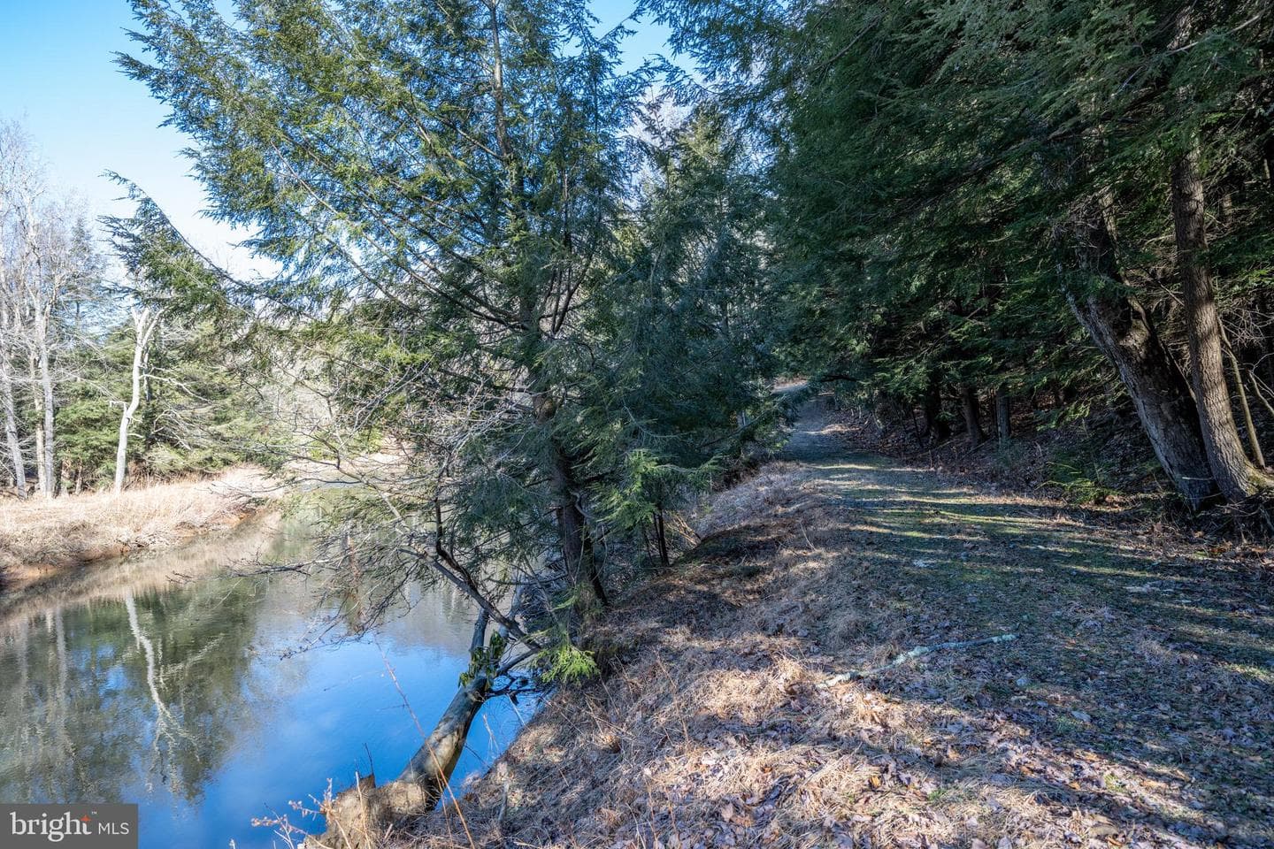 1167 Tall Oaks Drive photo 55