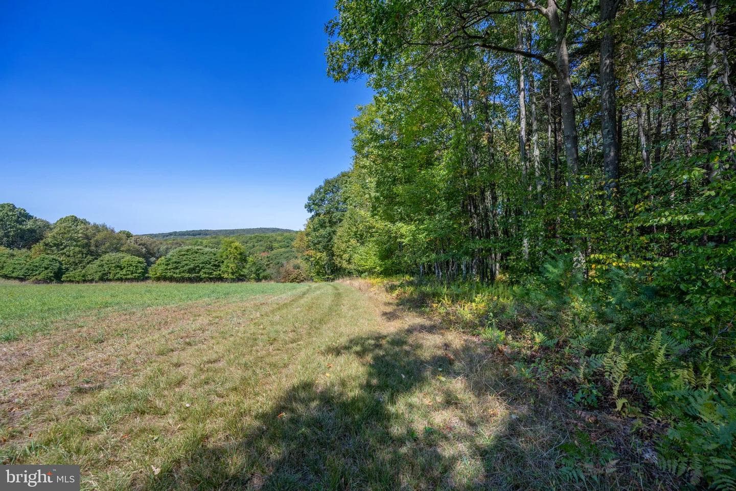 3348 & 3360 Cove Road photo 15