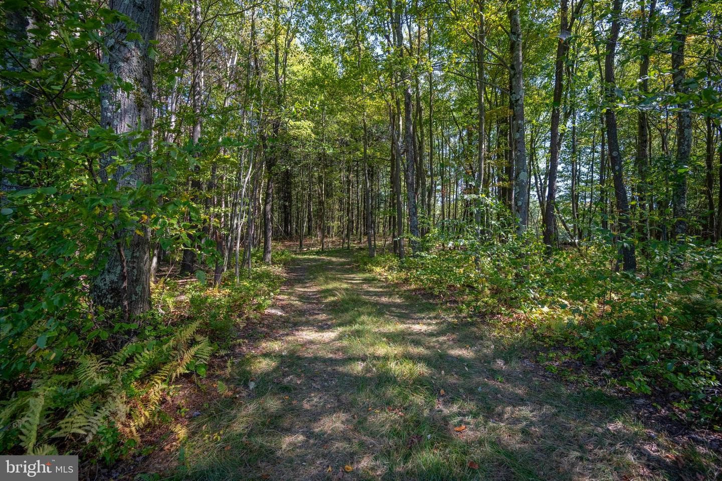 3348 & 3360 Cove Road photo 16