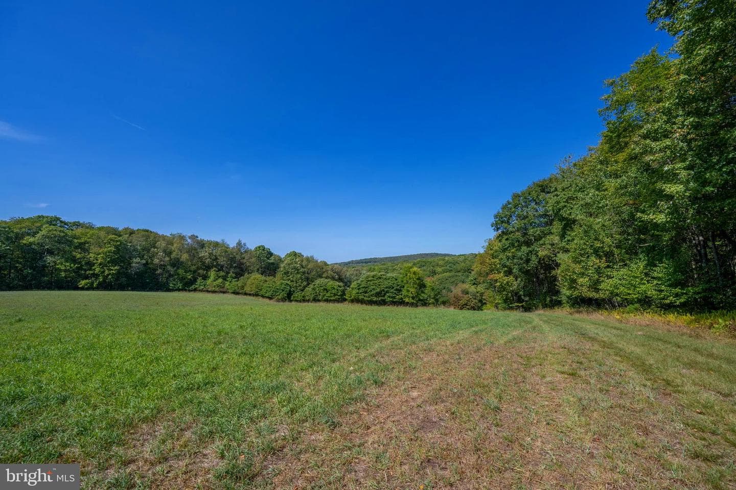 3348 & 3360 Cove Road photo 17
