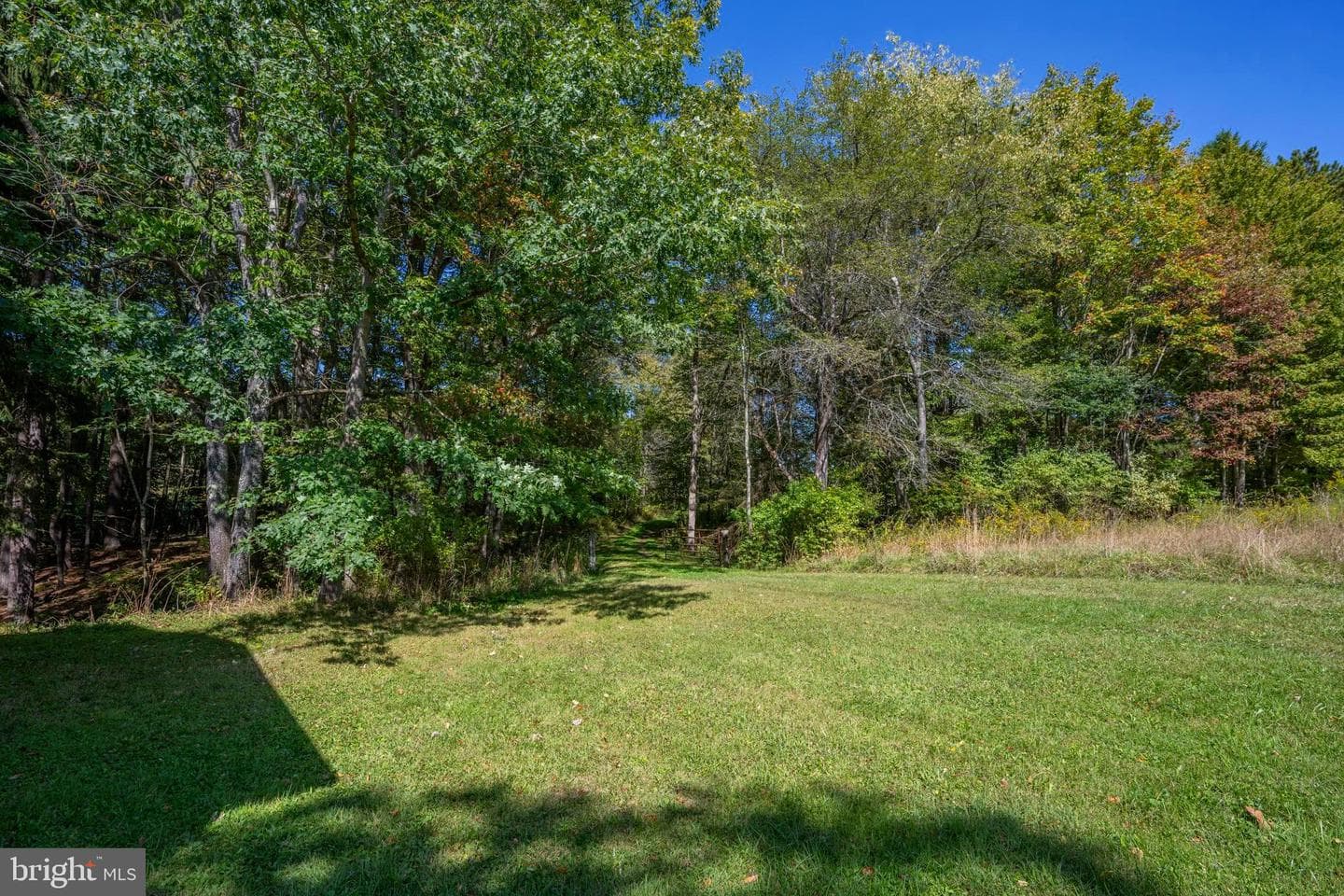 3348 & 3360 Cove Road photo 18