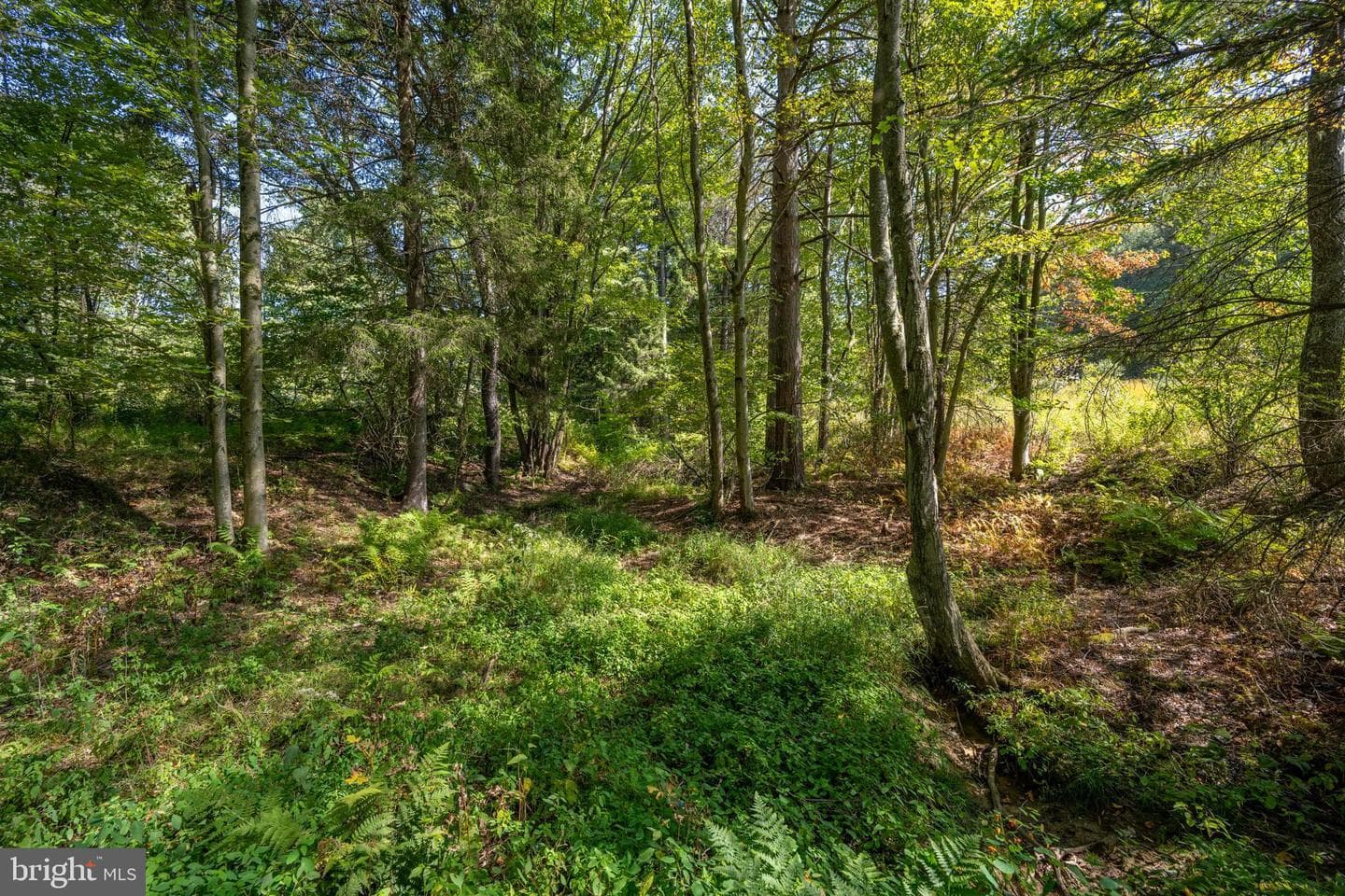 3348 & 3360 Cove Road photo 24