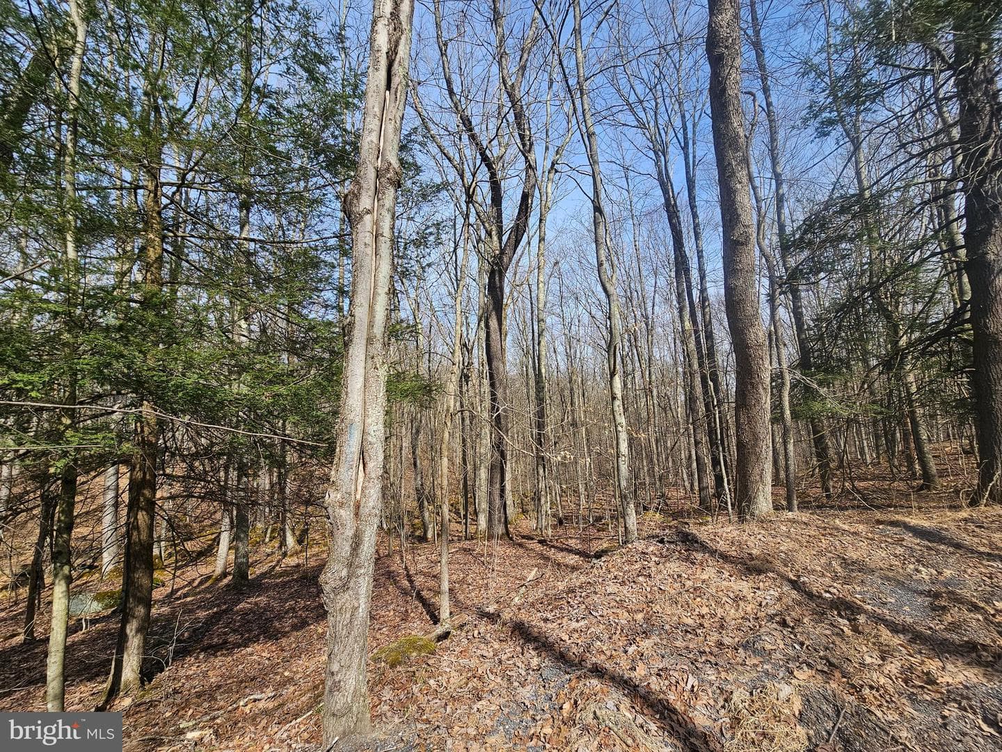 355 Lonesome Pine Road photo 36