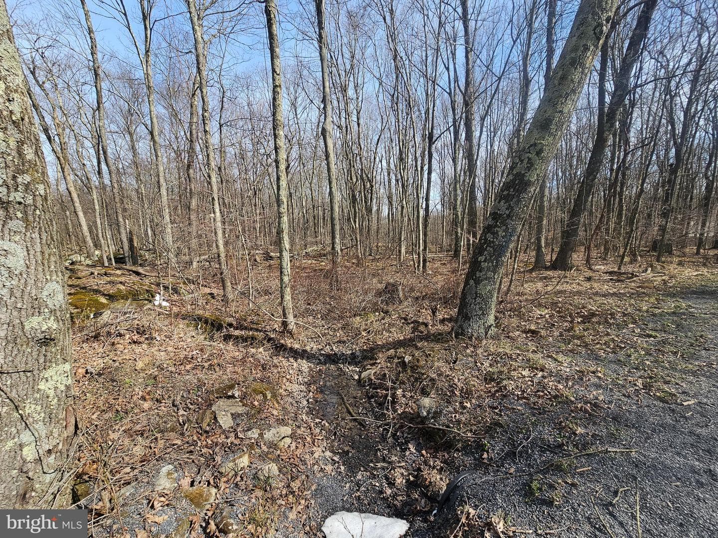 355 Lonesome Pine Road photo 38