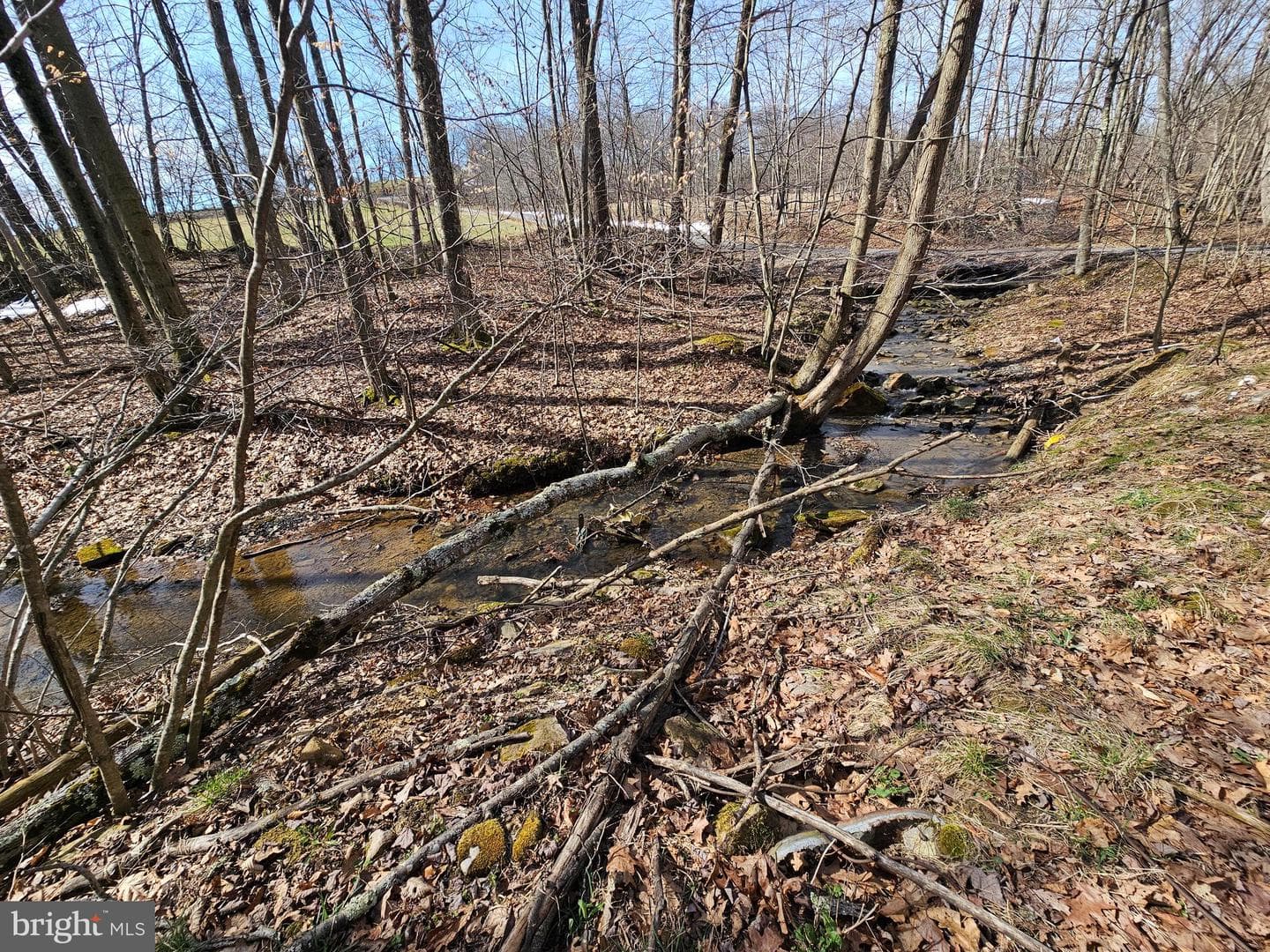 355 Lonesome Pine Road photo 39