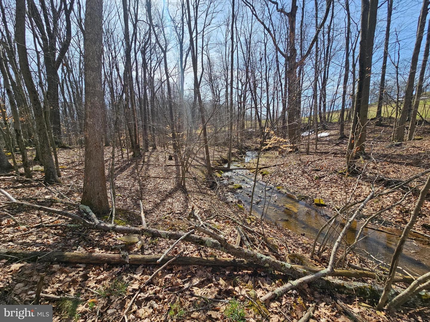 355 Lonesome Pine Road photo 40
