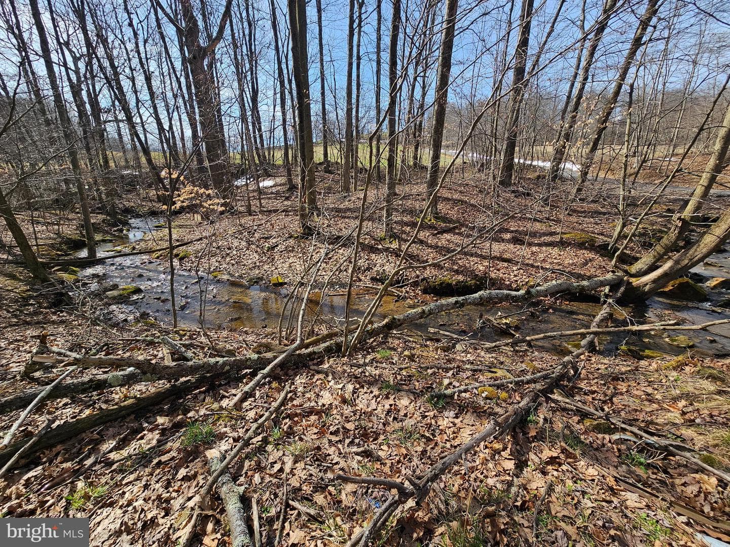 355 Lonesome Pine Road photo 41