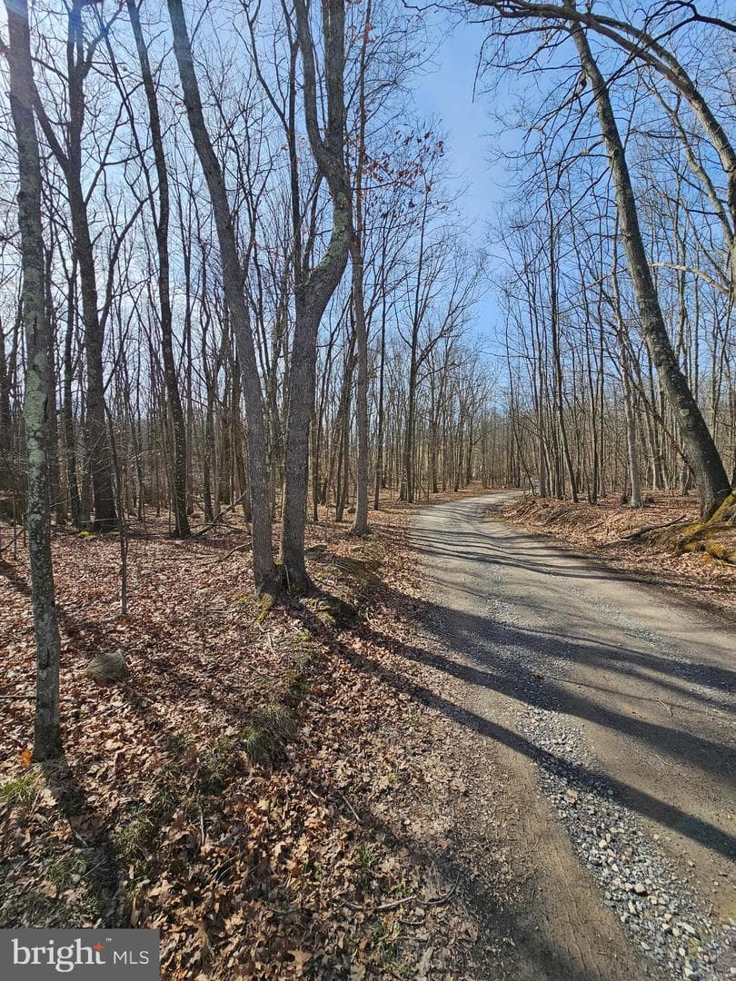 355 Lonesome Pine Road photo 43