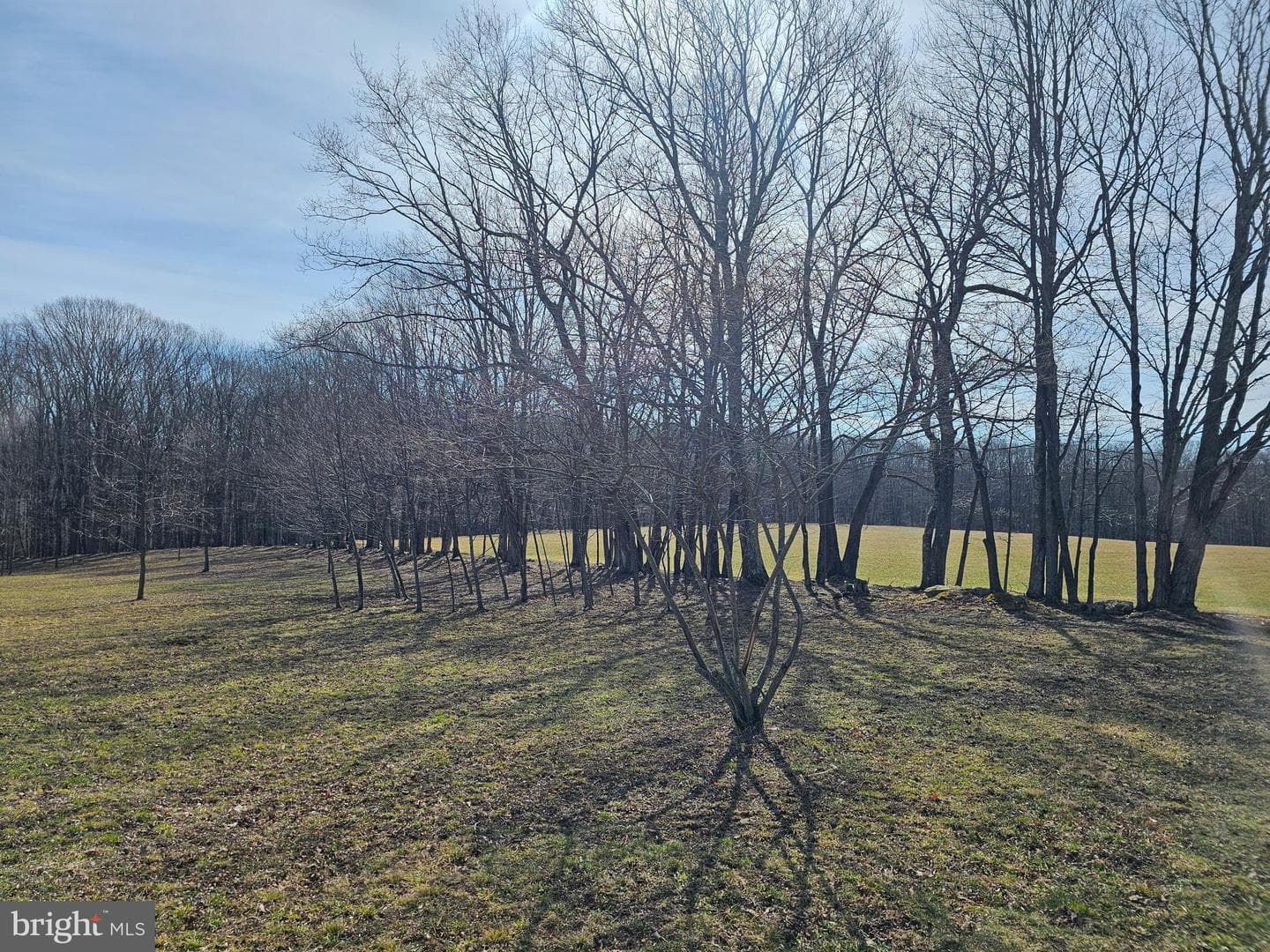 355 Lonesome Pine Road photo 46