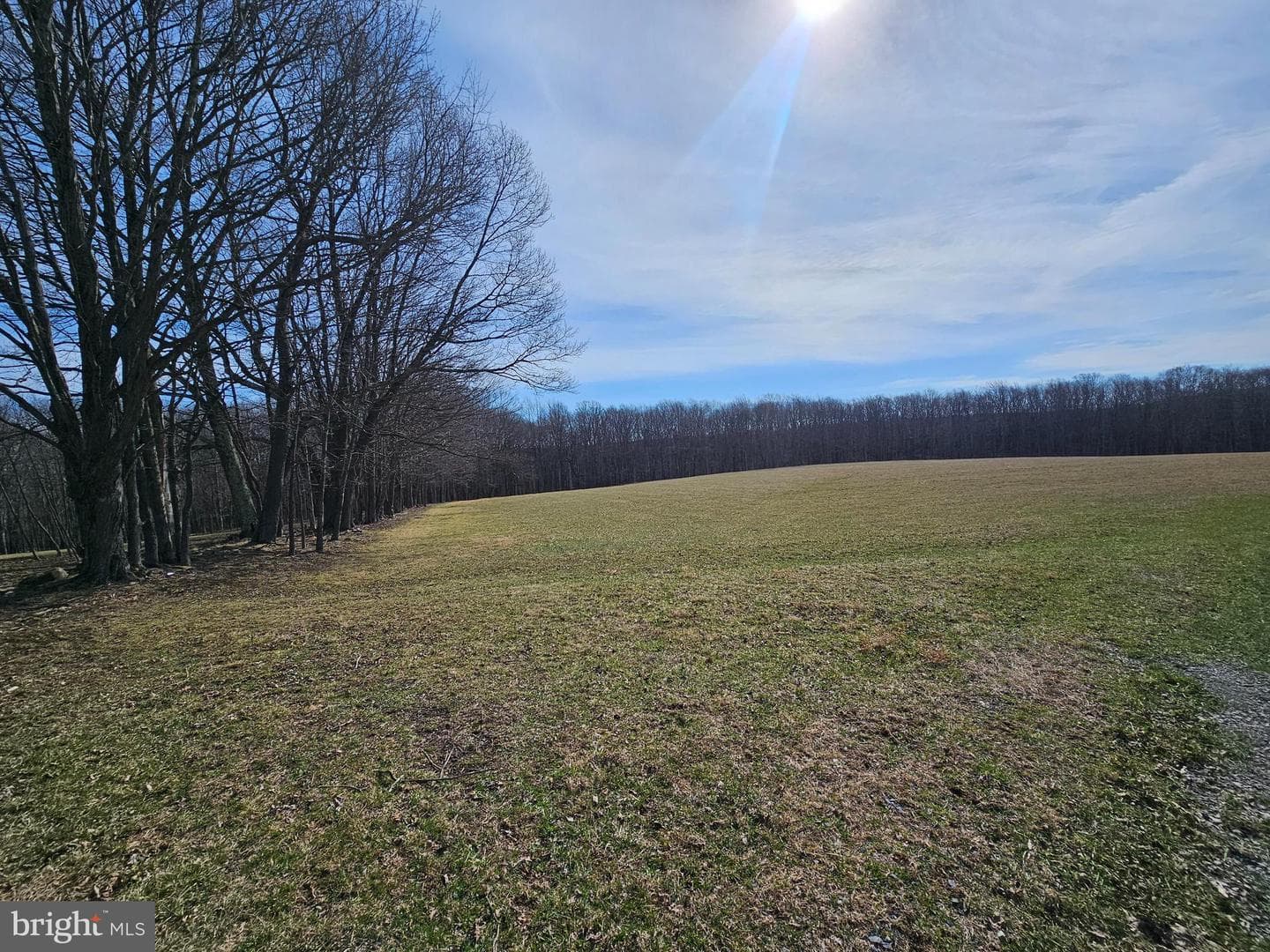 355 Lonesome Pine Road photo 47