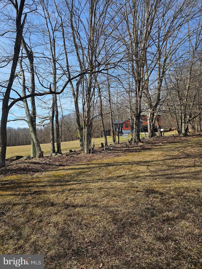 355 Lonesome Pine Road photo 48