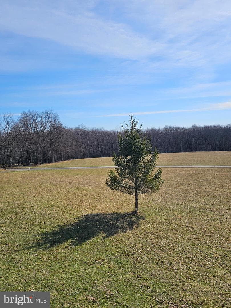 355 Lonesome Pine Road photo 64