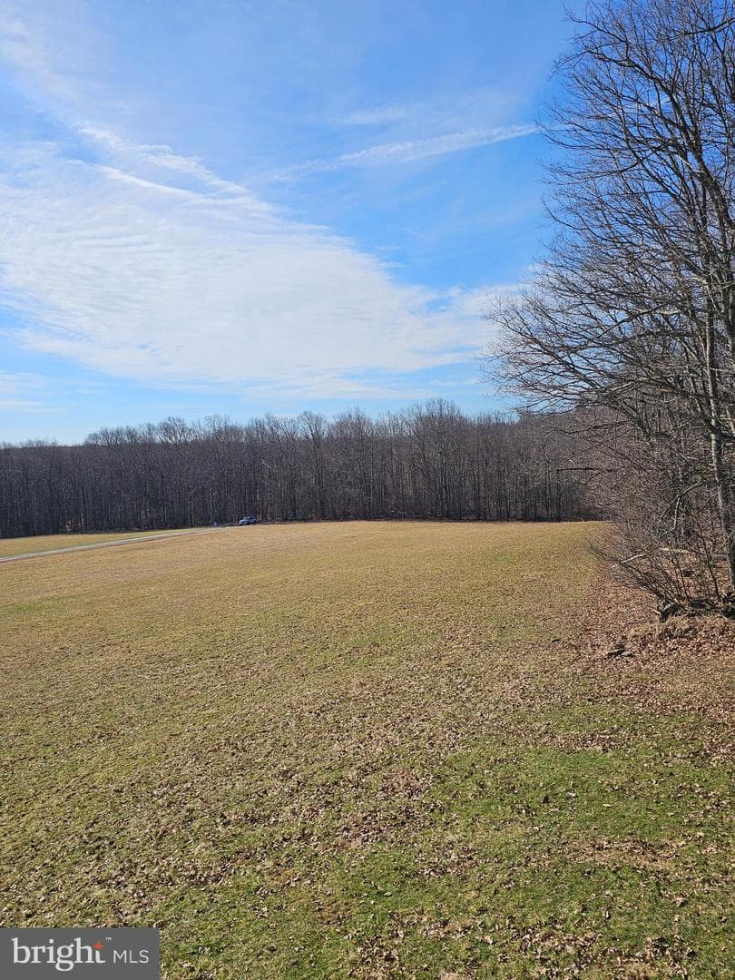 355 Lonesome Pine Road photo 65