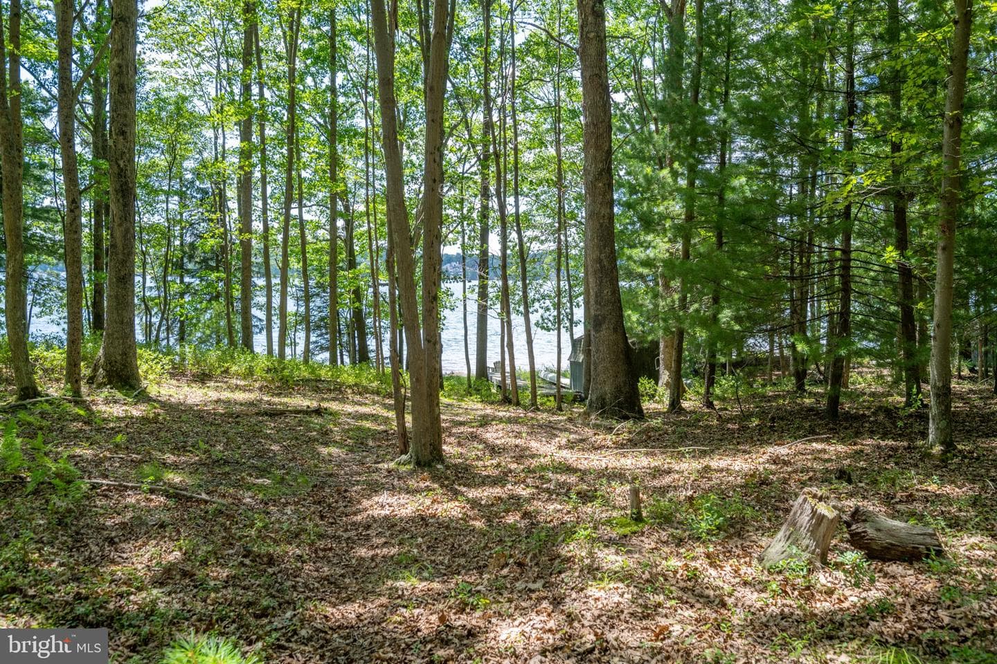 1461 Shoreline Drive photo 13
