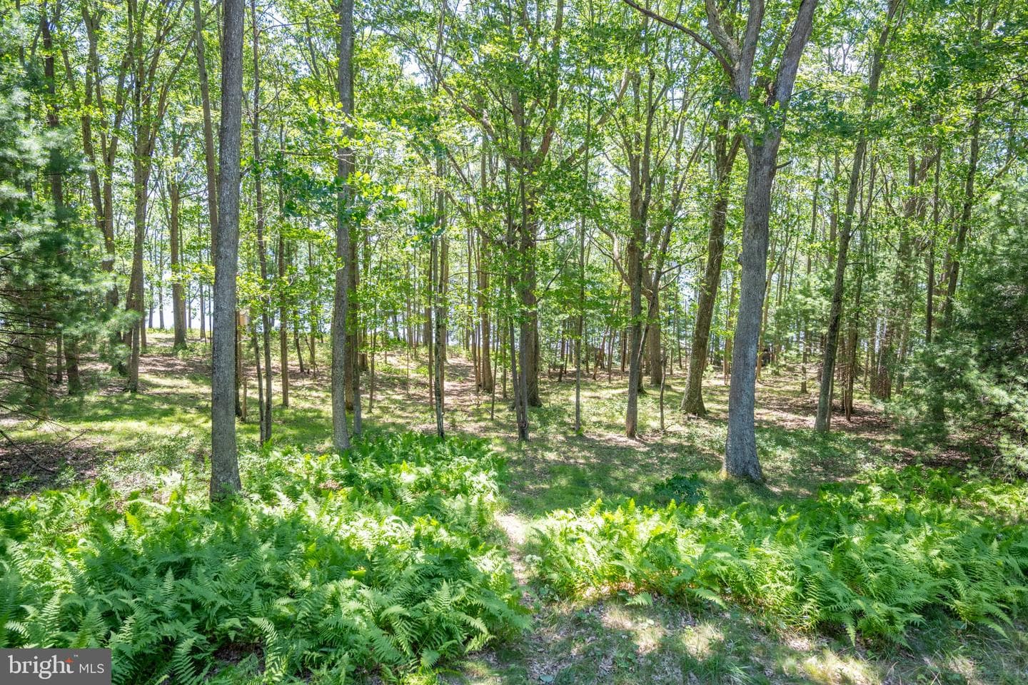 1461 Shoreline Drive photo 18