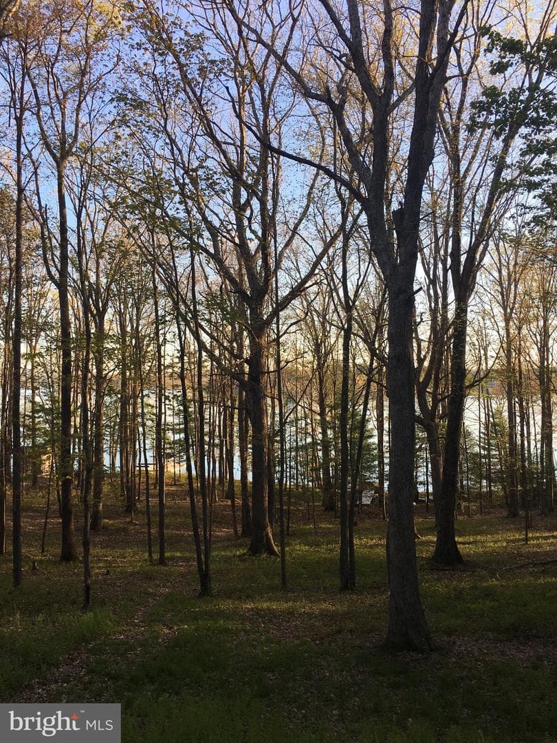 1461 Shoreline Drive photo 21