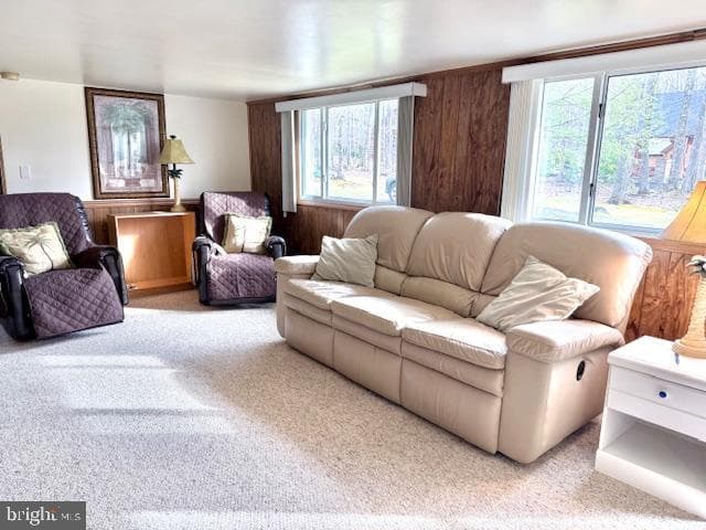 222 Skippers Point Road photo 18