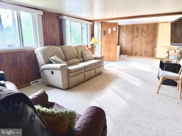 222 Skippers Point Road photo 21