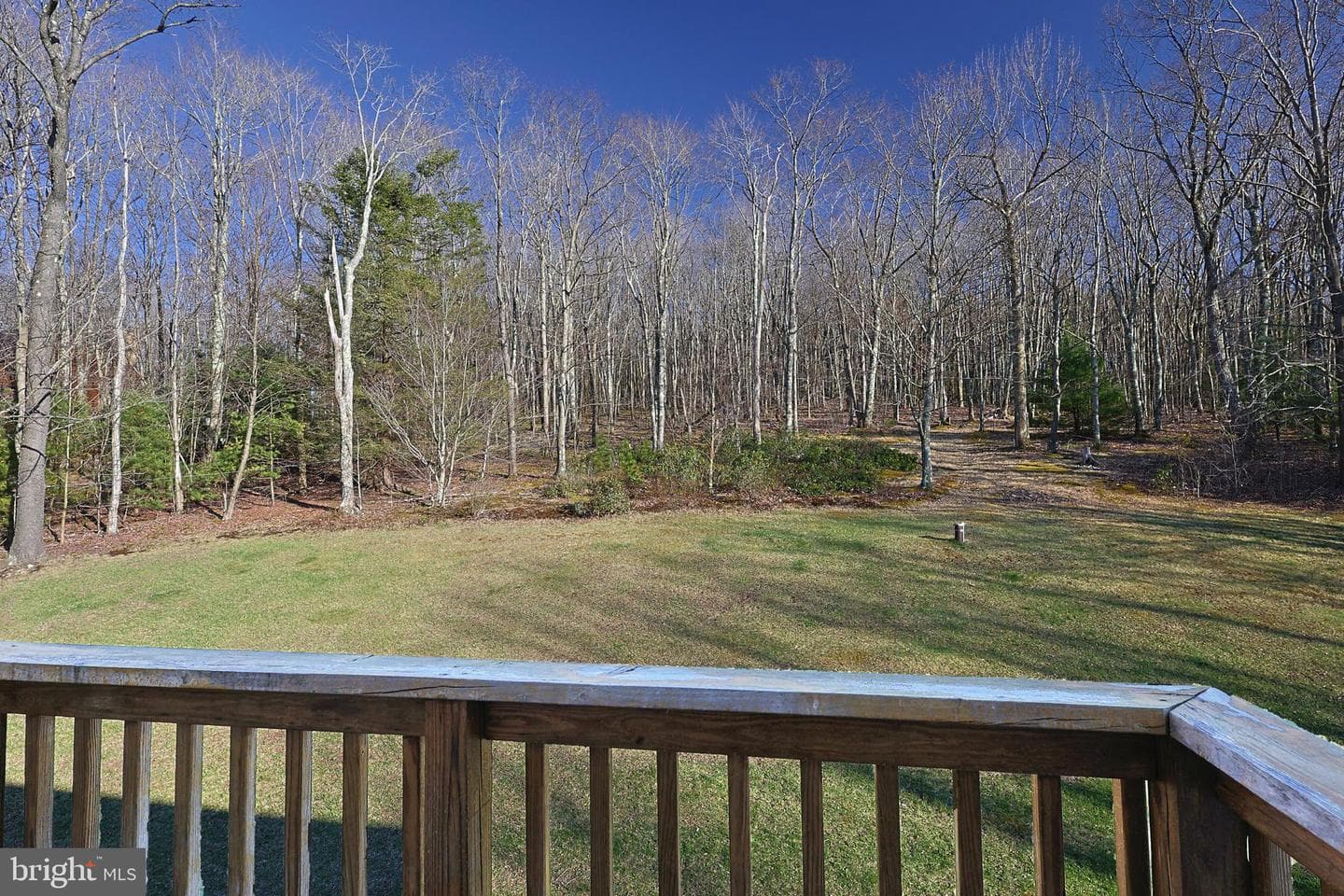 337 Laurel Wood Drive photo 66