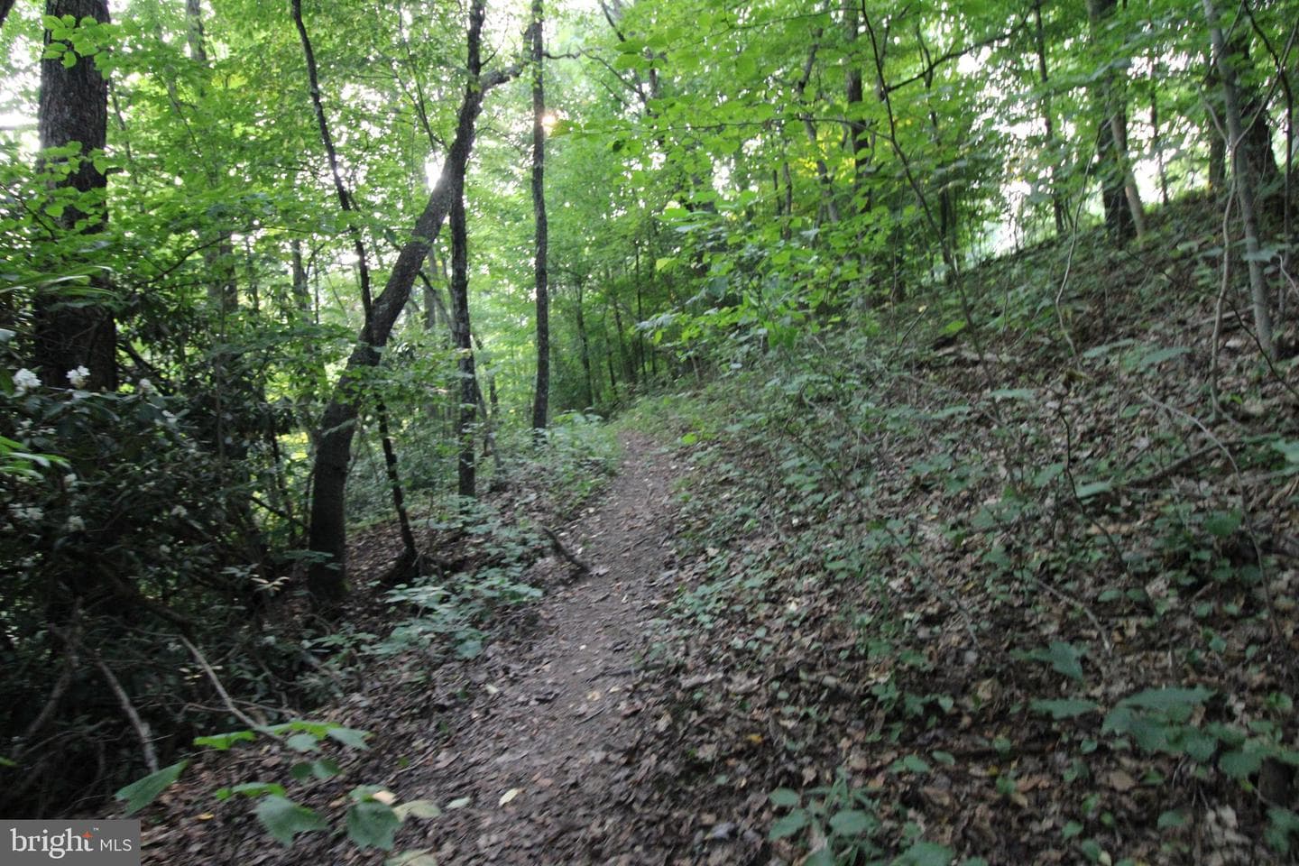 8956 Oakland Sang Run Road photo 58