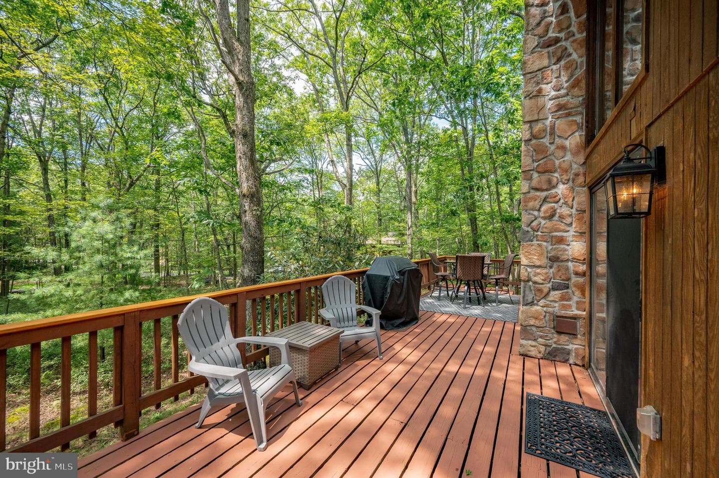 61 Frederick Circle photo 50