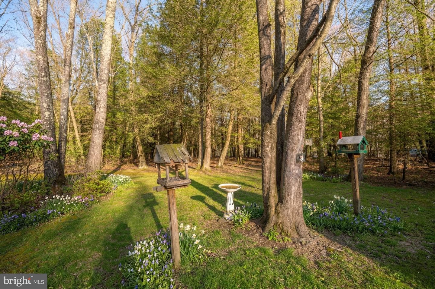 15443 Bittinger Road photo 77