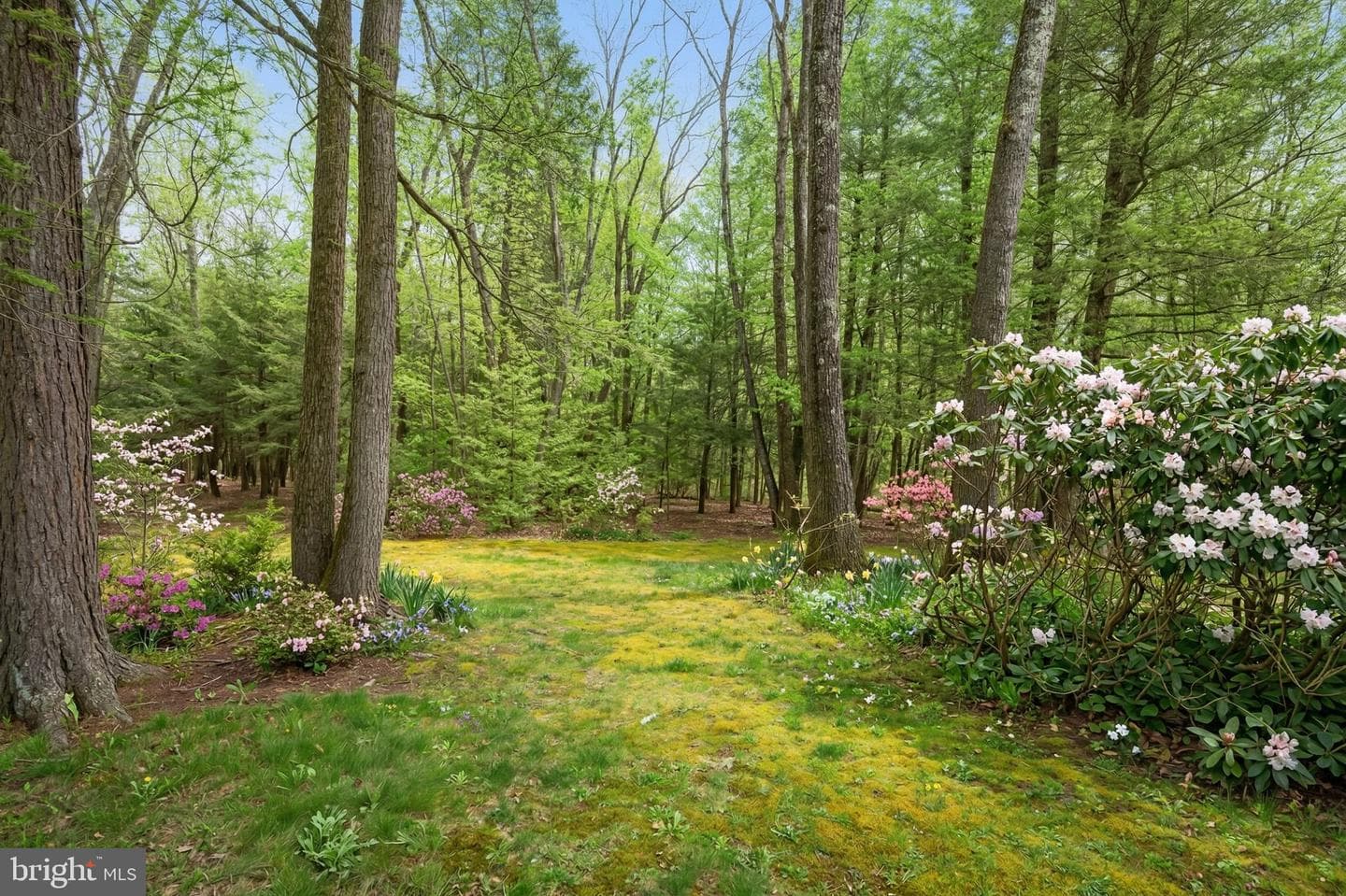 15443 Bittinger Road photo 78