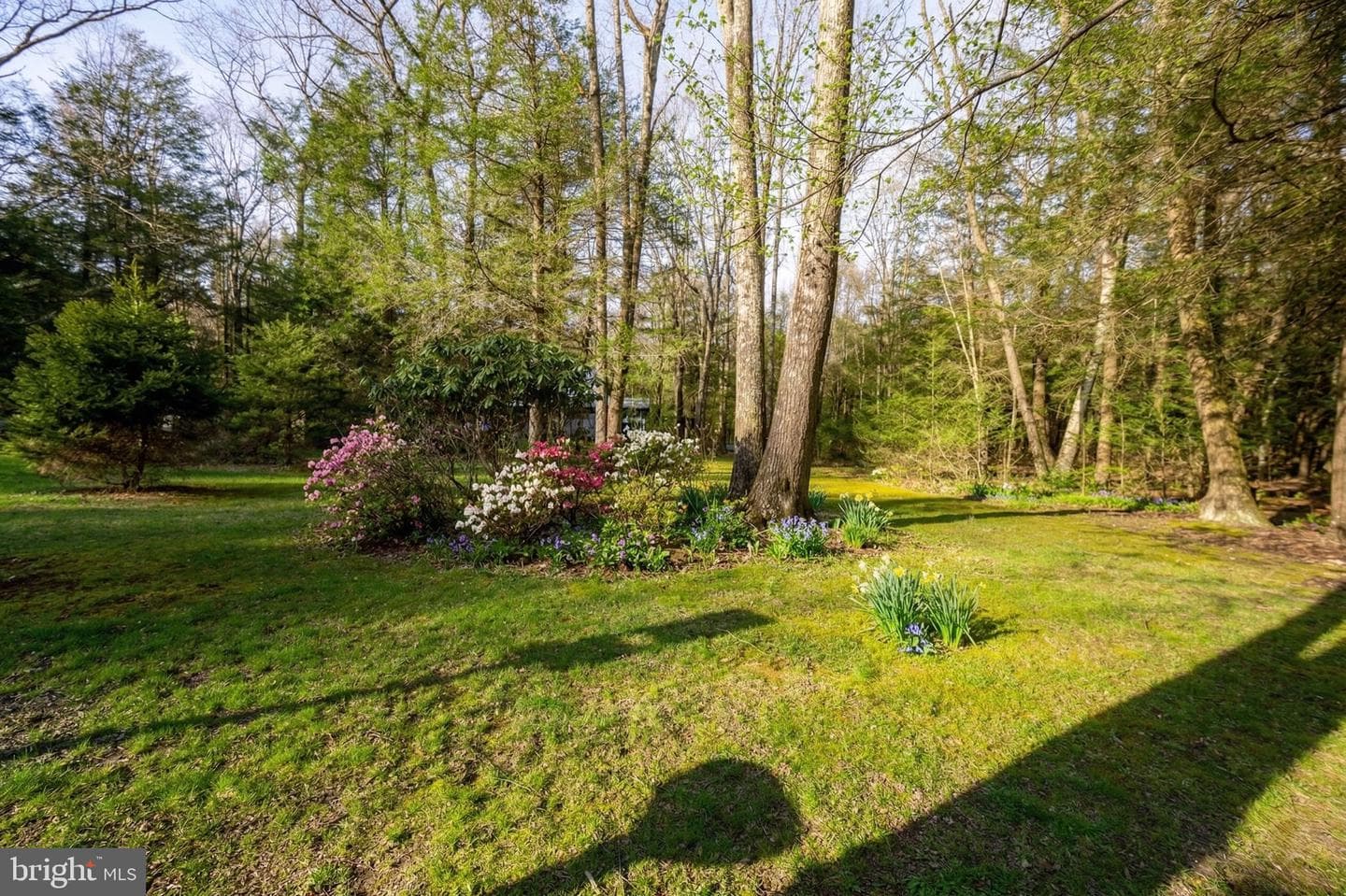 15443 Bittinger Road photo 79